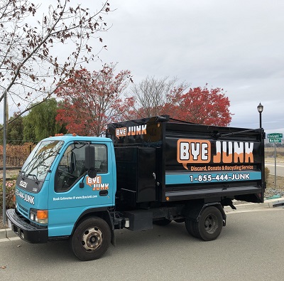 Image for Bye Junk with ID of: 3187720