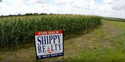 Image for Shippy Realty & Auction with ID of: 4826285