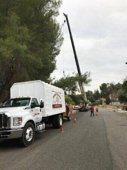 Image for Rancho Tree Care with ID of: 4826769