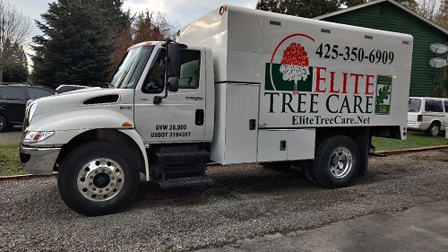 Image for Elite Tree Care LLC with ID of: 4834231