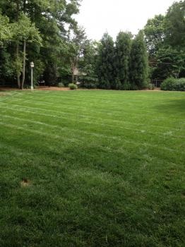 Image for Performance Lawn & Landscape with ID of: 4844731