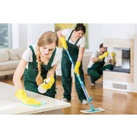 Image for Sarasota Cleaning Pros with ID of: 4849545