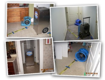 Image for Eco Pro Restoration with ID of: 4849833