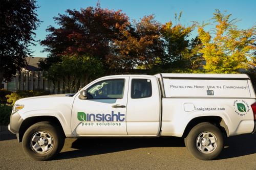 Image for Insight Pest Control Gresham with ID of: 4852063