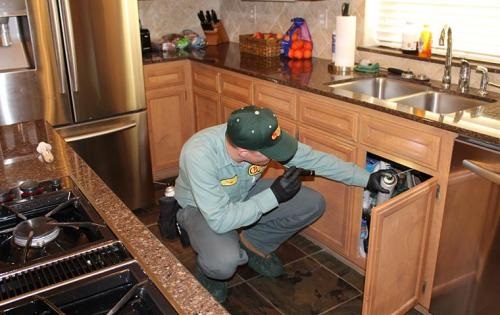 Image for Bill Clark Pest Control with ID of: 4856190