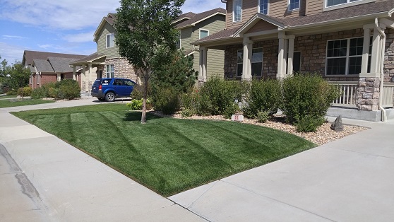 Image for Epic Lawn Pro with ID of: 4865331
