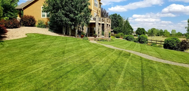 Image for Epic Lawn Pro with ID of: 4865334
