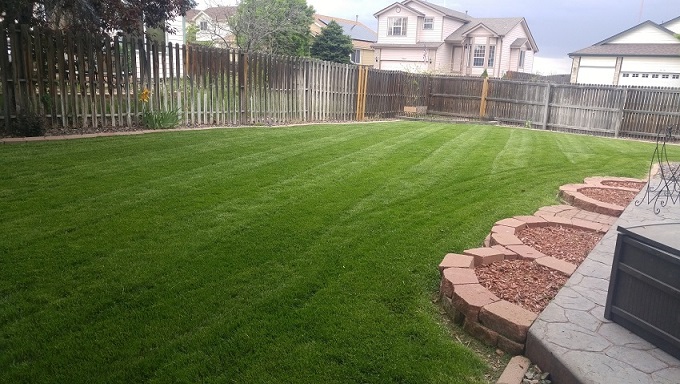 Image for Epic Lawn Pro with ID of: 4865336