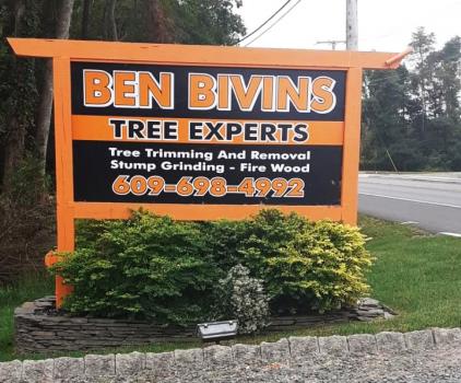 Image for Ben Bivins Tree Experts with ID of: 4868147