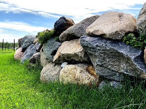 Image for 5 Sons Naturescapes, LLC. with ID of: 4870864