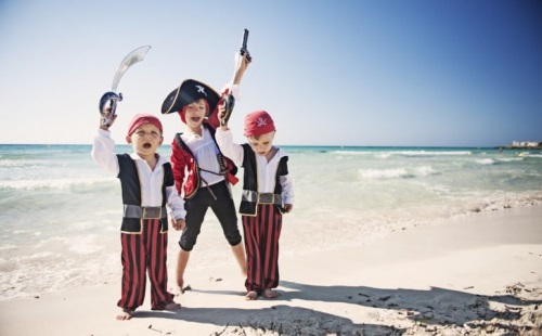 Image for Pirate Voyages with ID of: 4872362