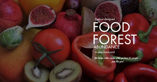 Image for Food Forest Abundance with ID of: 4873565