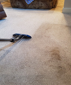 Image for Phoenix Cleaning Solutions with ID of: 4875819