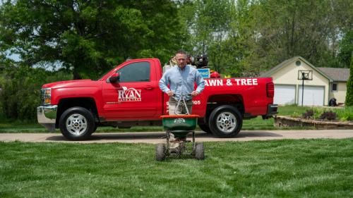 Image for Ryan Lawn & Tree with ID of: 4880804