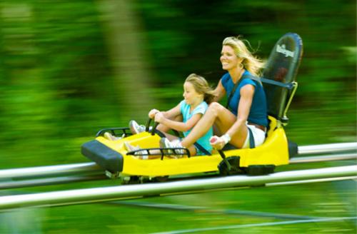 Image for Cranmore Mountain Resort with ID of: 4881600