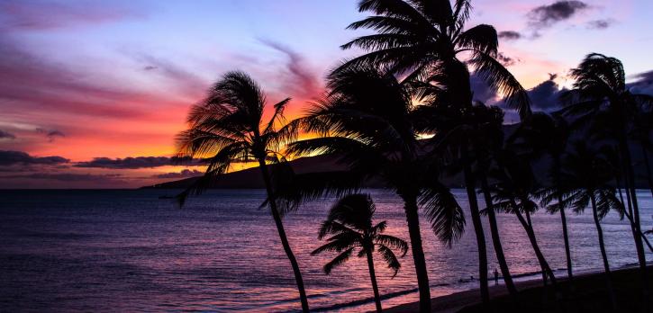 Image for REMAX Island Properties with ID of: 4882316