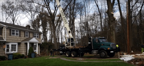 Image for Boulder Hill Tree Service with ID of: 4891745