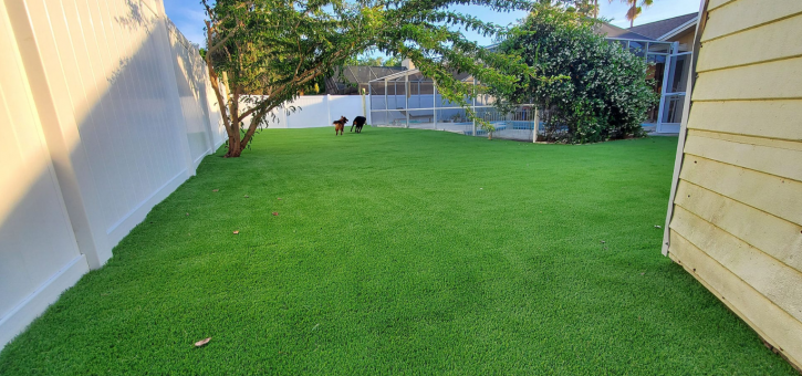 Image for Florida Artificial Grass Installation with ID of: 4894719
