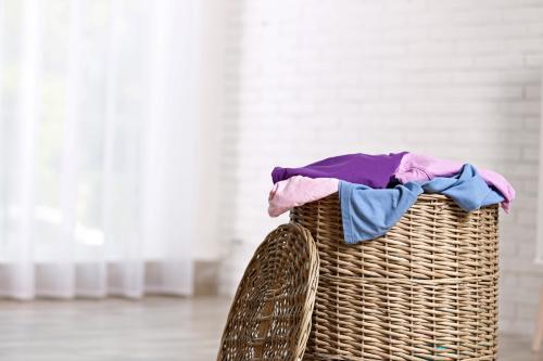 Image for Wash & Go Mobile Laundry Services with ID of: 4900028