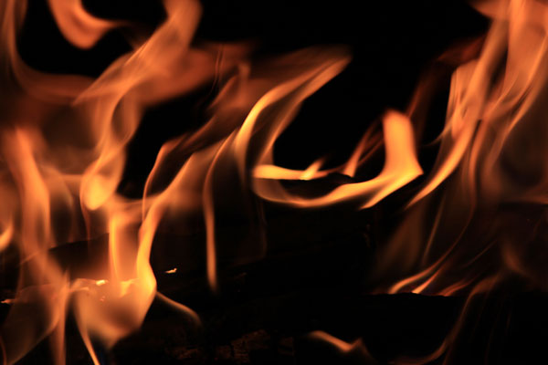 Image for Water Mold & Fire Miami FL with ID of: 610112
