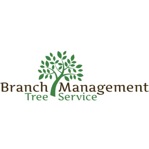 Image for Branch Management Tree Service, LLC with ID of: 6102535
