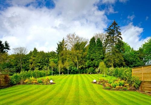 Image for Premier Landscaping, Inc. with ID of: 4907754
