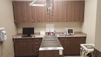 Image for Vida Veterinary Care with ID of: 4909671