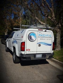 Image for Pacific Exterminator with ID of: 4910715