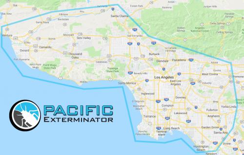 Image for Pacific Exterminator with ID of: 4910718