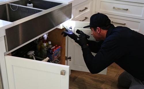 Image for HomeShield Pest Control with ID of: 4910759