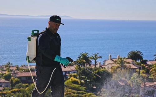 Image for HomeShield Pest Control with ID of: 4910760