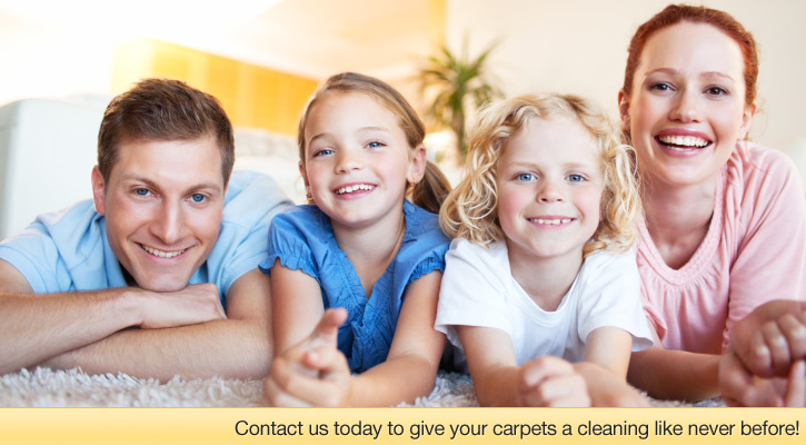 Image for Stanley Steemer Columbia with ID of: 610785