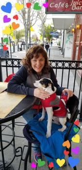 Image for Good Shepherd Pet Care with ID of: 4911280