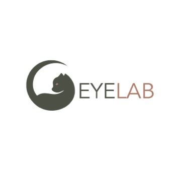 Image for Eye Lab with ID of: 6108618