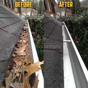 Image for Leafshield Gutter Guards with ID of: 4669945