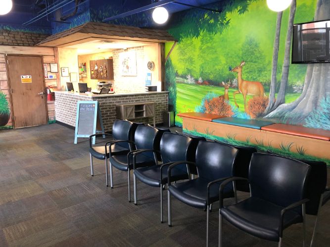 Image for Dentistry for Children - Peachtree City with ID of: 4918790