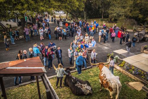Image for Pedrotti's Ranch with ID of: 4921411