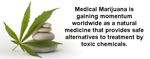 Image for Scottsdale Natural Healing with ID of: 611151