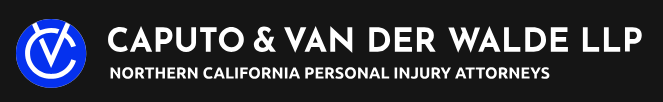 Image for Caputo & Van Der Walde - Injury and Accident Attorneys with ID of: 6113113