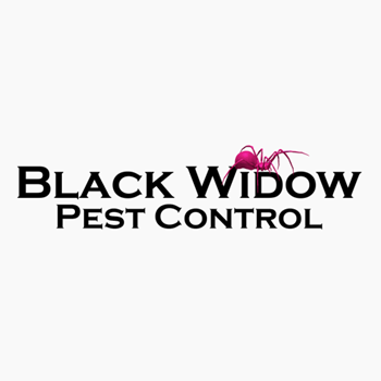 Image for Black Widow Pest Control with ID of: 6114633