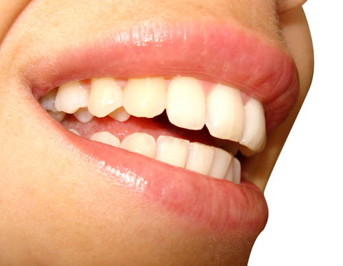 Image for Brady Frank Dentist Ashland with ID of: 611579