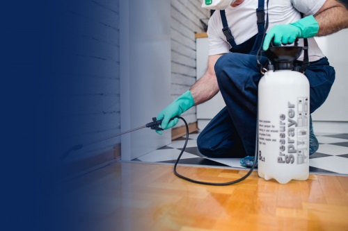 Image for Pied Piper Pest Control with ID of: 4937302
