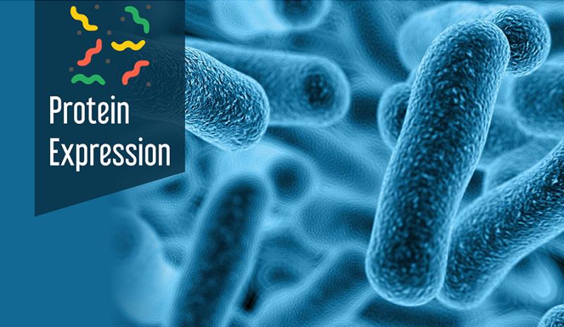 Image for Protein Expression Market Share, Development and Demand Forecast to 2030 with ID of: 6121626