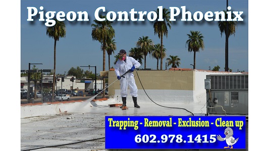 Image for Bills Pest Termite Control with ID of: 4941487