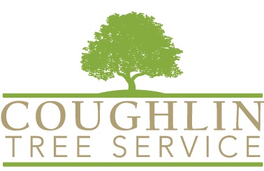 Image for Coughlin Tree Service with ID of: 6124070