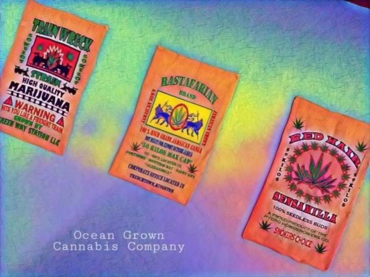 Image for Ocean Grown Cannabis Company with ID of: 4949692