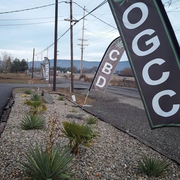 Image for Ocean Grown Cannabis Company with ID of: 4949694