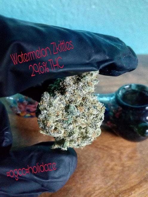 Image for Ocean Grown Cannabis Company with ID of: 4949696