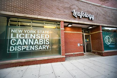 Image for Leafology Cannabis Company with ID of: 6129018