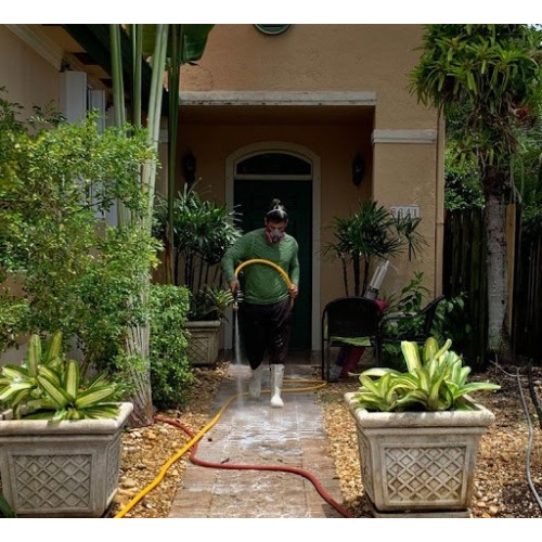 Image for Epiclean Pressure Cleaning with ID of: 4955645